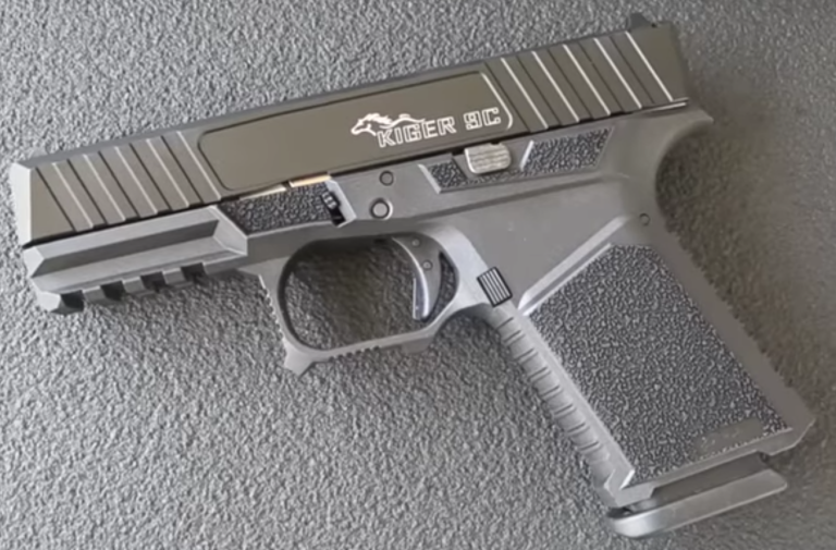 An Alternative To The Glock 19?
