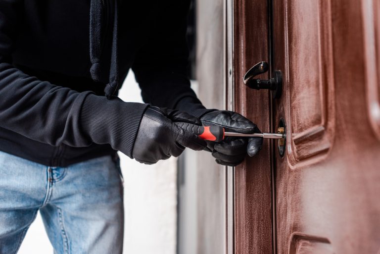 What Britain’s Burglary Rate Shows About How To Make Gun Violence Almost DISAPPEAR