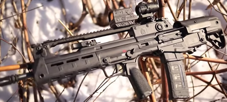 Did Springfield Armory Raise… A Hellion… With This Gun?